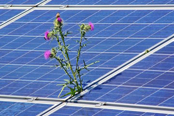 Photovoltaik Wartung (8