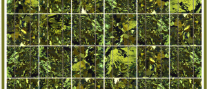 BISOL_Spectrum_Marble_Gold_CR